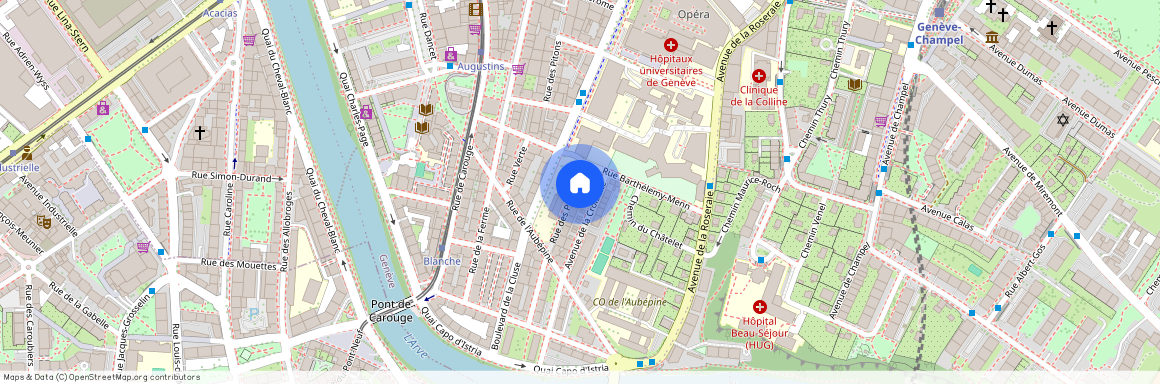 Rue des Peupliers 24BIS, 1205 - Genève, Suisse