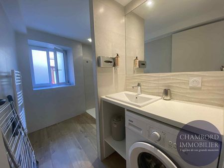 Appartement entièrement meublé à Cour Cheverny 41 m2 - Photo 2