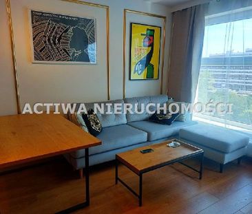 Mieszkanie Zgierz Centrum powierzchnia 18.0 m² C317-WM-50876 - Zdjęcie 4