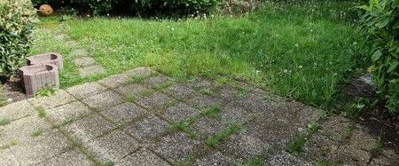 Schicke 2-Zimmer-Wohnung mit Wintergarten und Terrasse im ruhigen Düsseldorf-Angermund - Photo 1