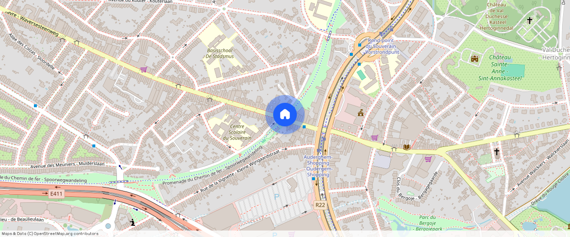 Avenue Edmond Van Nieuwenhuyse, 26, 1160, Auderghem