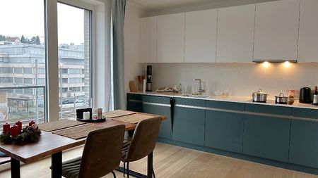 2½ Zimmer-Wohnung in Zürich - Kreis 2 Wollishofen, möbliert, auf Zeit - Photo 3