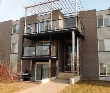 2410 Louise Street - Photo 5