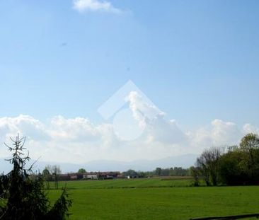 Bilocale in affitto - Photo 3