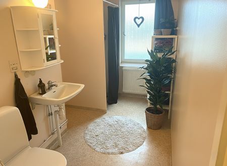 Elzwiks väg, Guldsmedshyttan - Photo 4