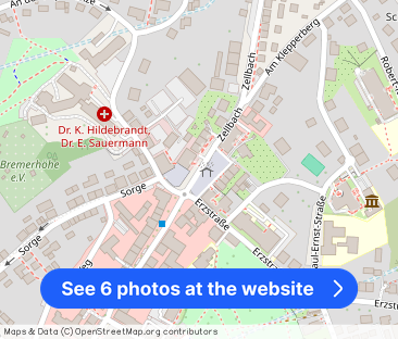 Renovierte, großzügige 4-Zimmer-Wohnung mit Einbauküche u. Balkon - Photo 1