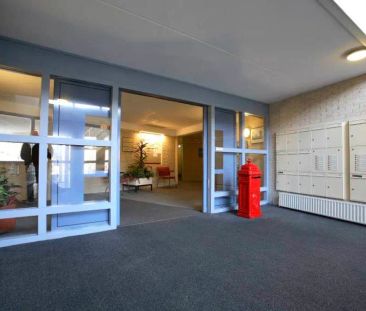 Maison de ville pour seniors Wilhelminasingel, Veendam - À louer - Foto 2