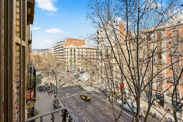 Carrer del Comte dUrgell, Barcelona, Catalonia 08011 - Photo 1