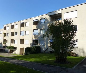 3 Zimmer, EG - Photo 4