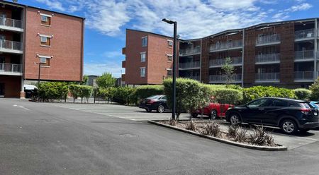 Modern & Stylish Living in the Heart of Hobsonville Point - Photo 4