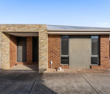 Freshly Updated Home with Stunning Outdoor Entertaining Area - Photo 2