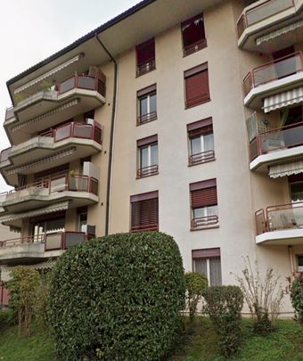 2-ROOM APARTMENT IN CORSIER-SUR-VEVEY (VD), FURNISHED, TEMPORARY RENTAL - Photo 1