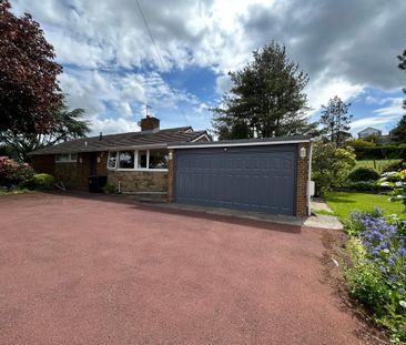 3 bedroom bungalow to rent - Photo 6