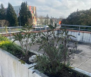 1 pièce - 34,24 m² - 2ème étage - Colocation non autorisée - Photo 5