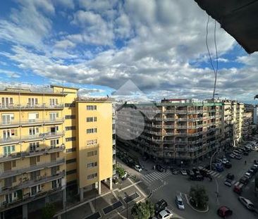 Trilocale in affitto - Photo 1