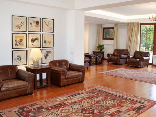 Apartament spatios cu 3 camere, terasa si acces la gradina | Piata Victoriei Mihail Moxa | Parcare in garaj - Photo 1