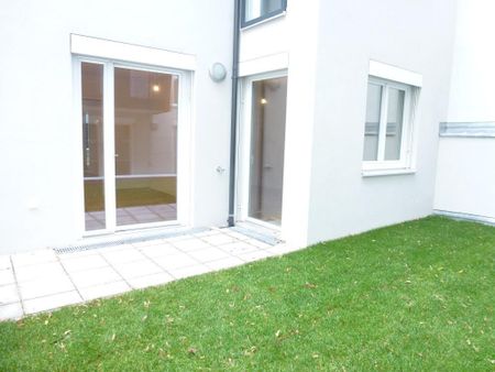 Apostelgasse: Moderne Gartenwohnung in Ruhelage!! U3-Nähe!! - Photo 5