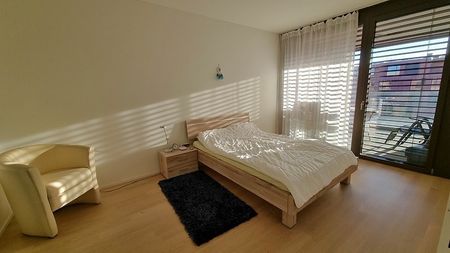 3½ Zimmer-Wohnung in Winterthur, möbliert, auf Zeit - Photo 4