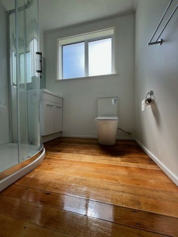 Renovated 3-Bedroom Home on Large Fully Fenced Section - Pets Considered - Photo 5