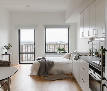 Neptunigatan - Foto 3