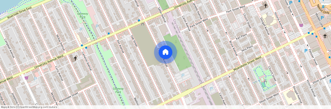 454 CRAWFORD, Windsor
