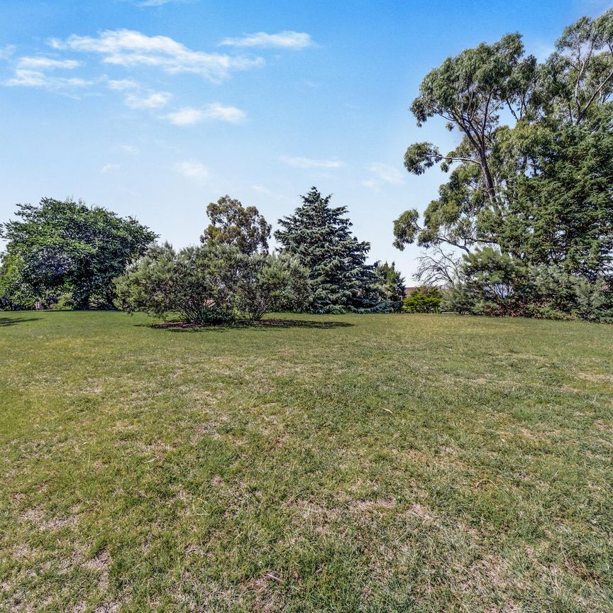 Lovely Ground floor Mawson Unit - Photo 1