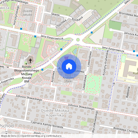 ul. Azaliowa, Pruszcz Gdański, gdański, pomorskie