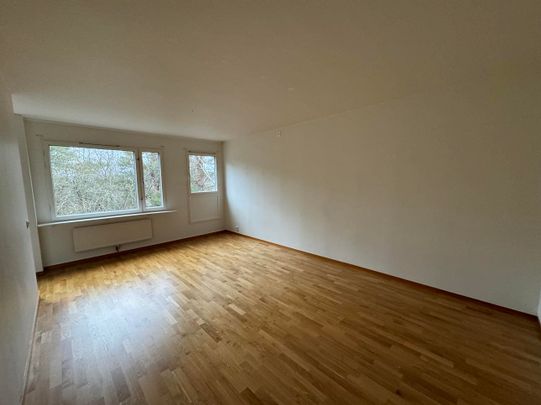 Lars Kaggsgatan 53 – 1 rok (lgh 1201) - Photo 1