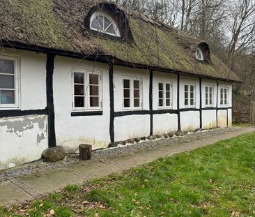 Bondehus i Ledreborg skov - Foto 4