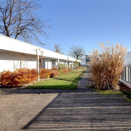 Luxurious apartment for rent - Photo 3