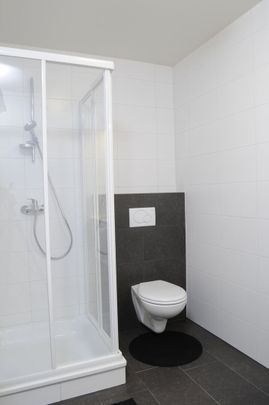 Gemeubeld dakappartement met groot terras - Photo 1