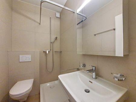 Joli appartement de 1 pièce au rez, 33m2 - Photo 5