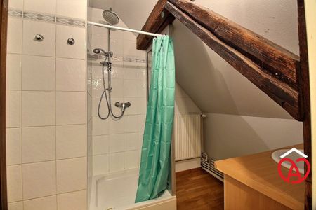 Location Appartement 1 pièce 20m² VILLE 67220 - Photo 4