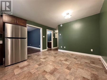 166 A Ladysmith Drive Unit#basement, St. John's, Newfoundland & Labrador - Photo 3