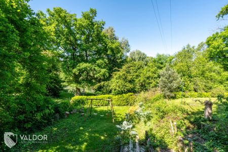 Villa de 6 chambres à louer à Dardilly - 1100m2 de jardin - piscine et calme absolu - Photo 5