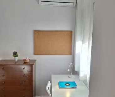 Plaza Ponce de León, Sevilla, Andalusia 41003 - Photo 6