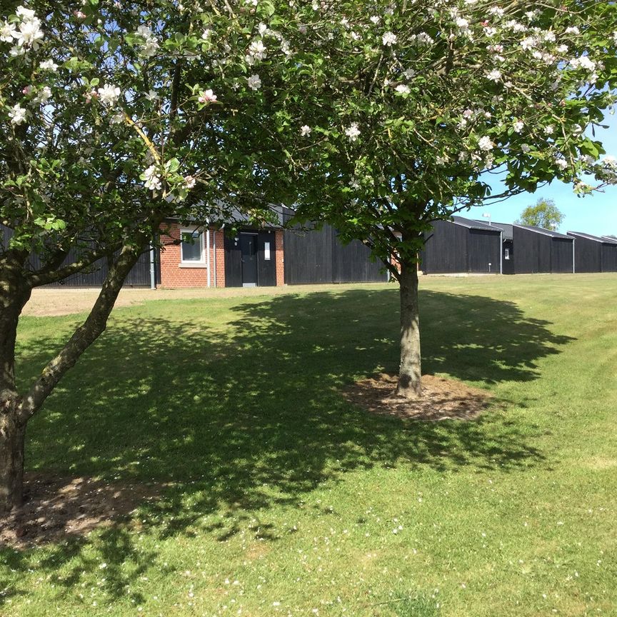 Risvænget 65, Rødding, 7860, Spøttrup - Foto 1