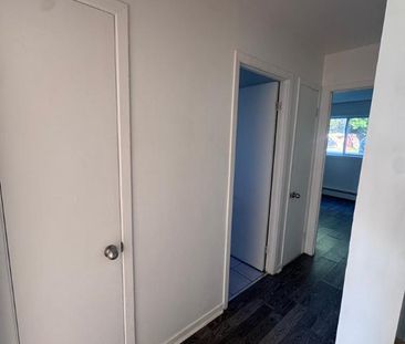 4 1/2 CHAUFFÉ, WIFI INCLUS, PRÈS WALMART, LIBRE ! - Photo 4