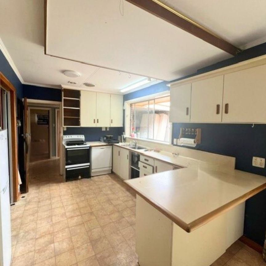 Feilding - 4 Bedrooms - Photo 1