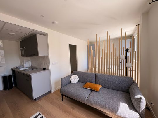 Appartement meuble neuf - coeur de ville - Photo 1