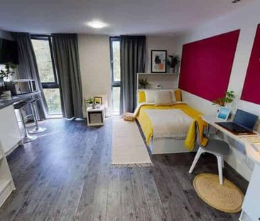 Gold Studio - Photo 4