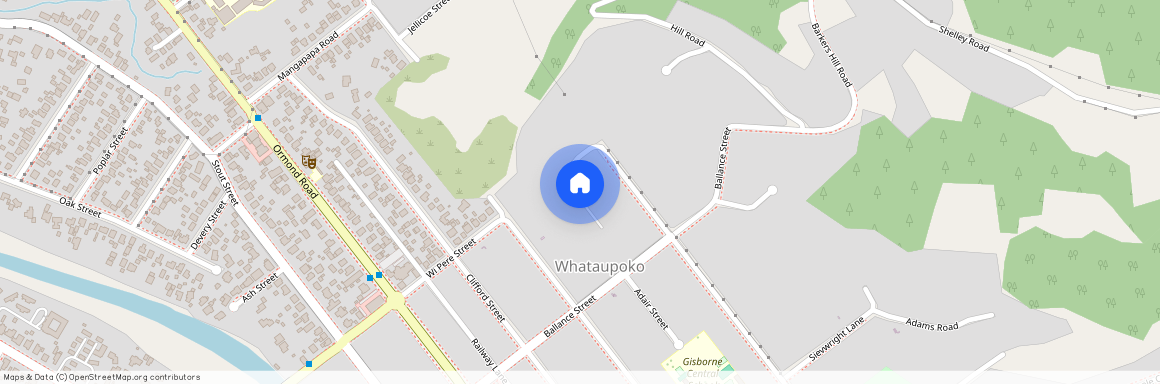 202 Russell Street, Whataupoko, Gisborne