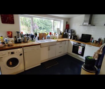 Room in a Shared Flat, London, NW3 - Photo 3