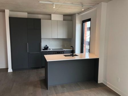 2180 Rue Ste-Catherine E., app.652, H2K 0C9, Montréal - Photo 2