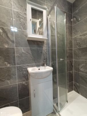 Studio Flat, Gleneldon Road, SW16 - Photo 1