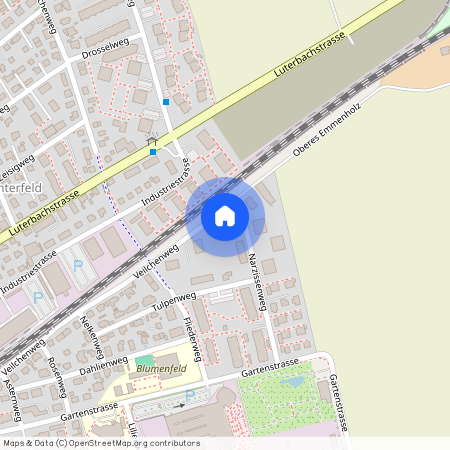 Veilchenweg 40, 4528, Zuchwil