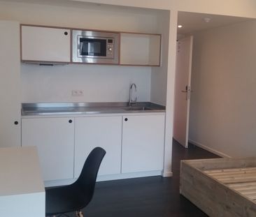 FOR STUDENTS ONLY! Studio for rent at THE LINK - Photo 4