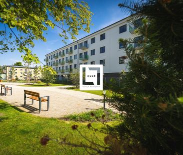 Pronájem bytu 2+kk 43 m² - Photo 1