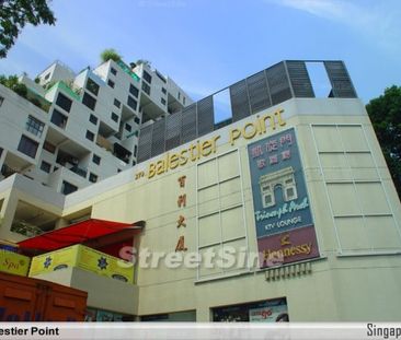 Balestier Point (D12), Apartment - For Rent - Photo 6