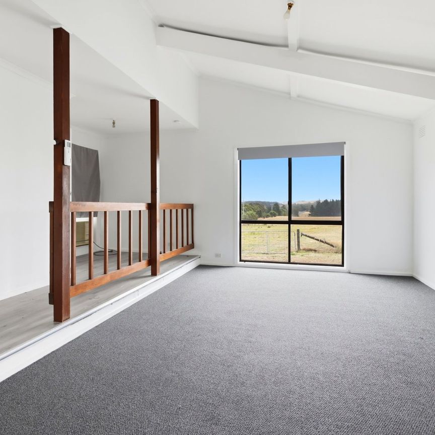 BALLAN BLISS - Photo 1